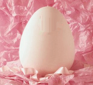 bien venu sue mon vip-blog